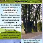 El Camino *