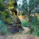 El Camino Daire Laza