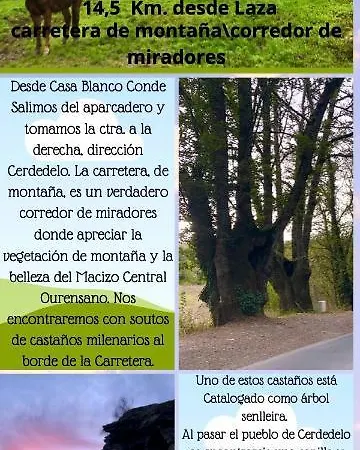 El Camino *