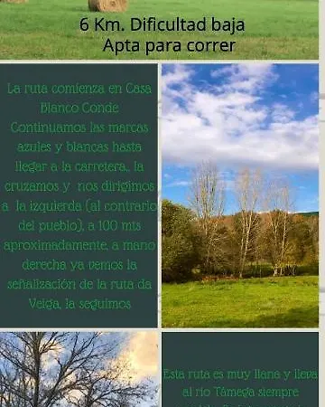 El Camino * Laza